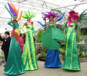 exotic flower stilts - festival style themed entertainer hire 