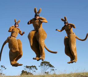kangaroo stilts - australian themed stilts - bouncing kangaroo stilts to hire 