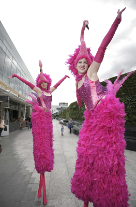 ALICE IN WONDERLAND THEMED ACTS- FLAMINGO STILTS TO HIRE UK