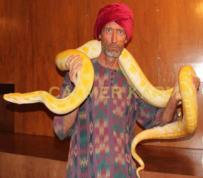 ARABIAN NIGHTS THEMED SNAKE WALKABOUT ACT TO HIRE LONDON, MANCHESTER, BIRMINGHAM