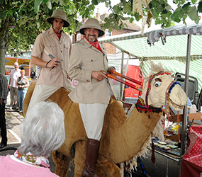 comical camel walkabout stilts hire 