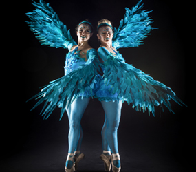 winter wonderland ballerinas - feather wing ballet dancers to hire uk