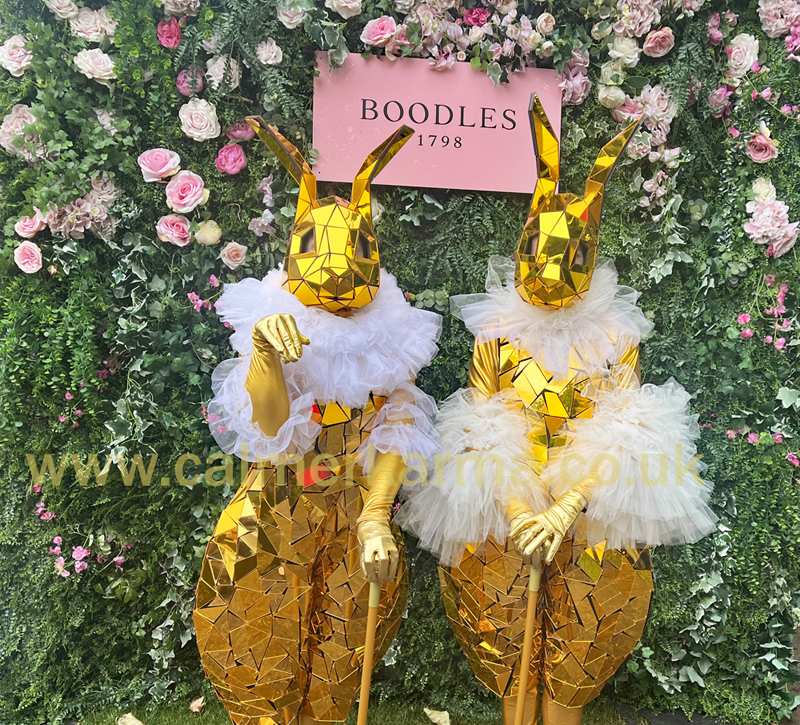 MIRROR BUNNIES TO HIRE -THE GOLDEN CARATS
