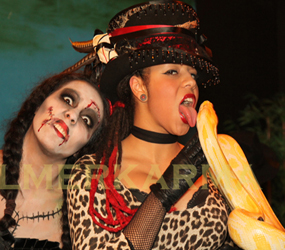 HALLOWEEN THEMED SNAKE ACTS TO HIRE 