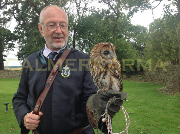 HARRY POTTER THEMED ENTERTAINMENT - THEMED OWL HANDLERS UK