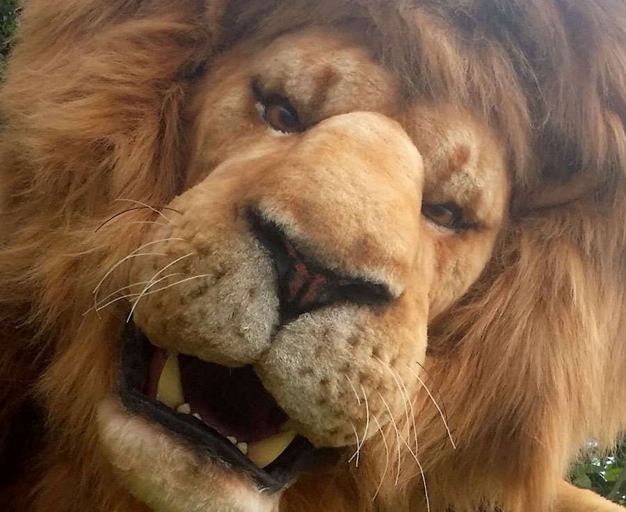 LION KING &  jungle THEMED ENTERTAINMENT - SIMBA THE ANIMATRONIC LION TO HIRE 