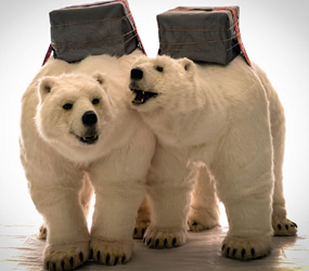 Environmental themed entertainment - the Polar Bear installation & walkabout polar bears hire