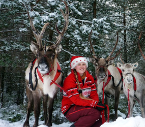 LIVE REINDEER HIRE - WINTER AND XMAS THEMED ENTERTAINMENT UK