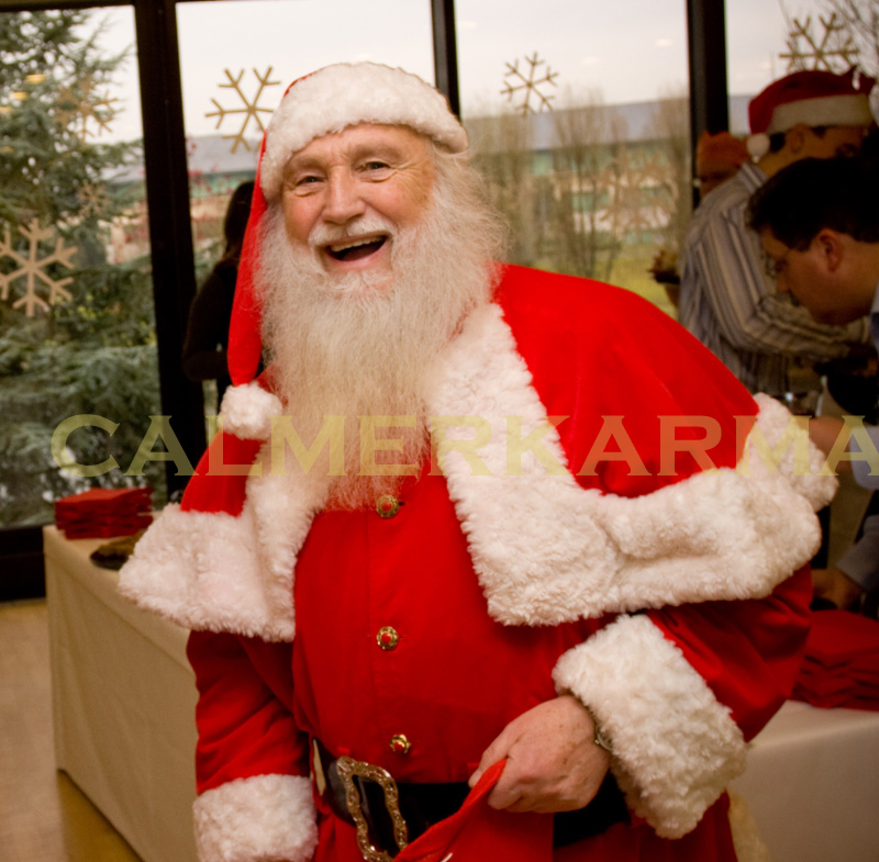 ZOOM SANTAS AND FATHER XMAS LOOKALIKES TO HIRE -LONDON 