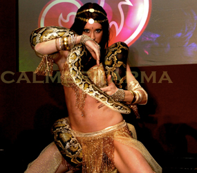 SNAKE DANCERS TO HIRE -LIVE SNAKE ACTS