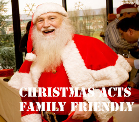 CHRISTMAS THEMED ENTERTAINMENT - FAMILY FRIENDLY ACTS - SHOPPING CENTRES, FAMILY EVENTS