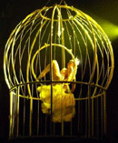 Gatsby Themed Parties - Burlesque - Bird in a Cage Act