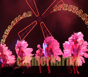 VEGAS SHOWGIRL DANCE TROUPE - THE WHITE FEATHERS