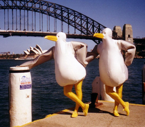 SEASIDE & WATER THEMED ACTS - WALKABOUT COMEDY SEAGULLS ENTERTAINERS HIRE 