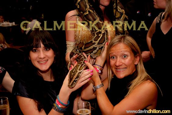 snake dancers to hire - guests love to interact with live snakes