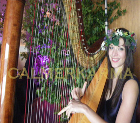 SUMMER GARDEN THEMED ACTS - FLORAL HARPIST TO HIRE - WEDDING AND GARDEN PARTY ENTERTAINMENT LONDON AND MANCHESTER