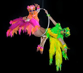RAINFOREST-TROPICAL-PARROTS-AERIALISTS - AMAZON THEMED PERFORMERS